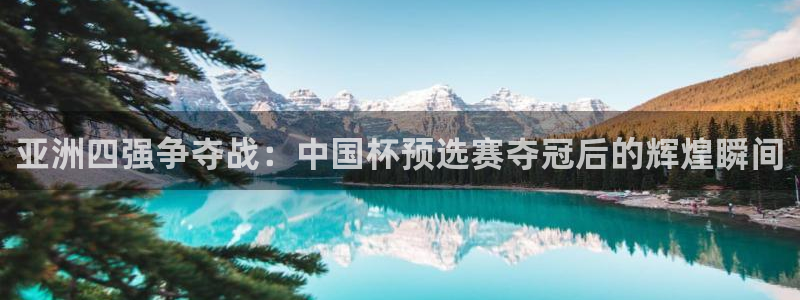 2026年世界杯直播平台：亚洲四强争夺战：中国杯预选赛夺冠后的辉煌瞬间