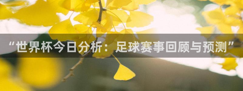 世界杯亚洲区预选赛：“世界杯今日分析：足球赛事回顾与预测”