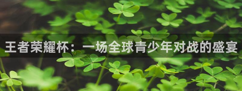 2026世界杯亚洲预选赛：王者荣耀杯：一场全球青少年对战的盛宴