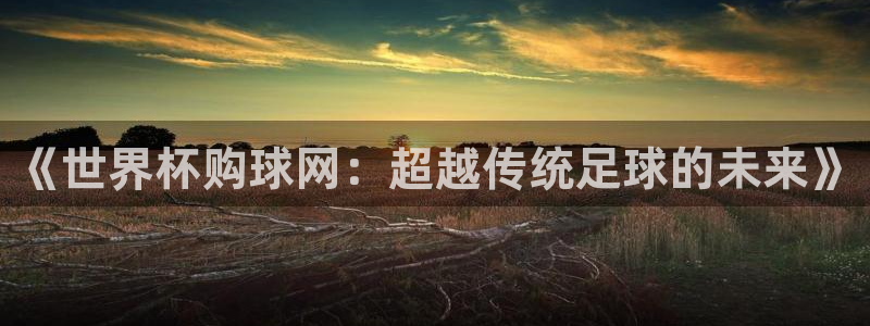今年的世界杯：《世界杯购球网：超越传统足球的未来》