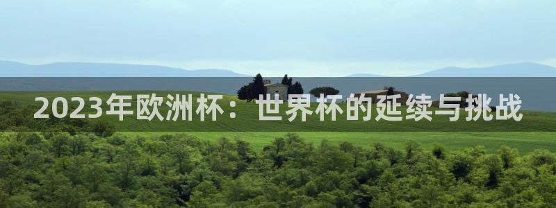 预选赛世界杯：2023年欧洲杯：世界杯的延续与挑战