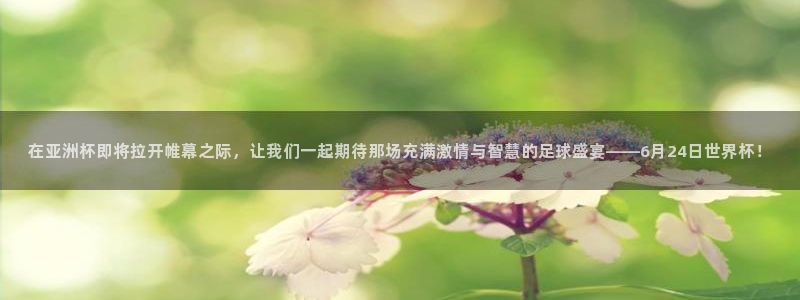 世界杯直播免费观看：在亚洲杯即将拉开帷幕之际，让我们一起期待那场充满激情与智慧的足球盛宴——6月24日世界杯！