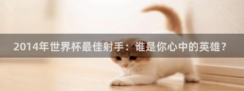 世界杯赛程时间表：2014年世界杯最佳射手：谁是你心中的英雄？