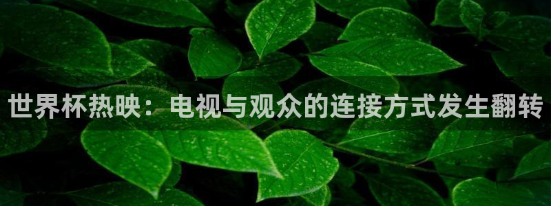 2026世界杯中国队：世界杯热映：电视与观众的连接方式发生翻转