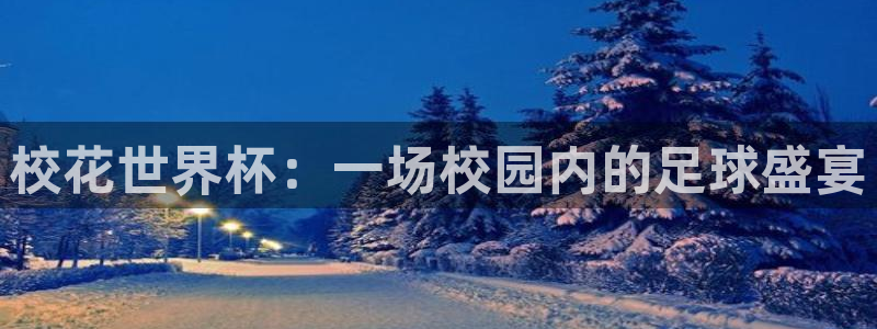 2026世界杯倒计时：校花世界杯：一场校园内的足球盛宴